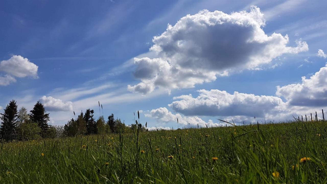 Pension & Gasthof Erbgericht Hoehenlage 850M Marienberg Exteriér fotografie