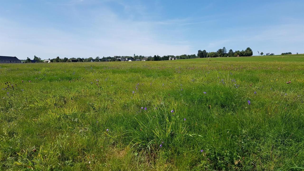 Pension & Gasthof Erbgericht Hoehenlage 850M Marienberg Exteriér fotografie
